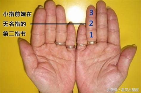 手指形狀手相 2024什麼龍年